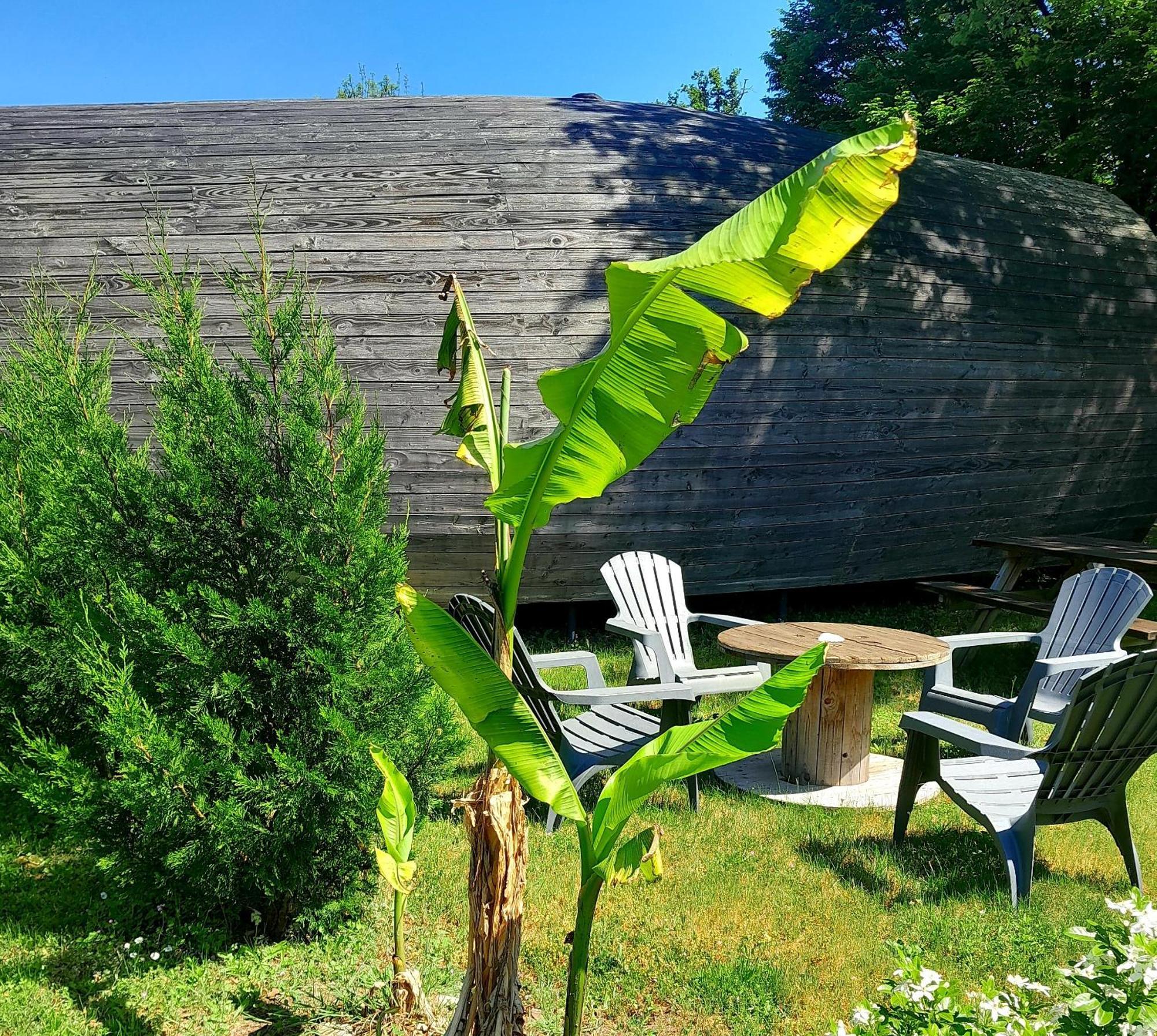 " Village Tonneaux De Tirpoil " Montilliers Zewnętrze zdjęcie